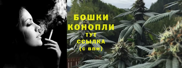 ECSTASY Богородицк
