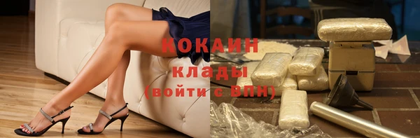 ECSTASY Богородицк
