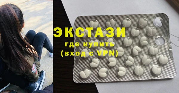 ECSTASY Богородицк