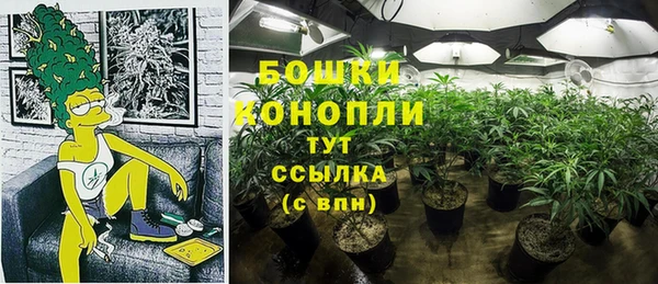 мдпв Вязьма