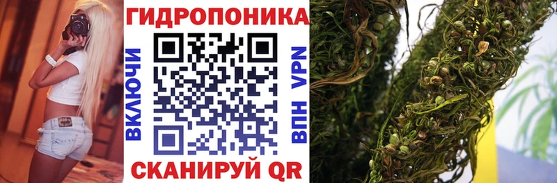 МАРИХУАНА семена  KRAKEN зеркало  это формула  Киров 
